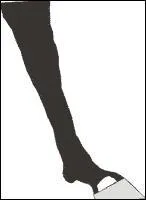 Comment s'appelle cette balzane ?