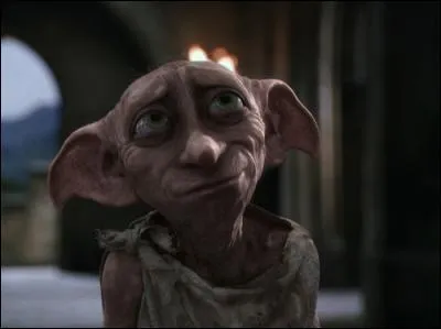 De quel tome est extraite cette citation ? "-Alors comme ça, c'est à cause de Dobby qu'on n'a pas pu prendre le train et que tu t'es cassé le bras ? Tu sais quoi Harry ? S'il continue à vouloir te sauver la vie, il va finir par te tuer." Ron Weasley