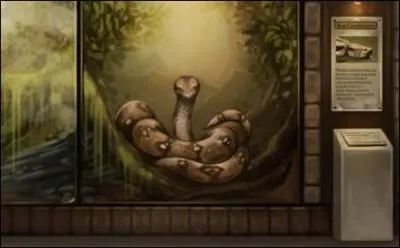 De quel tome est extraite cette citation ? "Un boa constrictor t'a dit qu'il n'avait jamais vu le Brésil ? répéta Ron d'une voix faible."