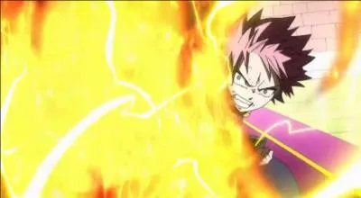 Comment s'appelle cette attaque ?