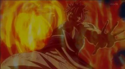 Comment s'appelle cette attaque ?