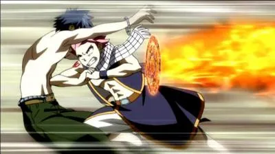 Comment s'appelle cette attaque ?