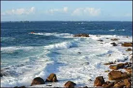 Hier, ils (nager / imparfait) ... avec des boues dans la mer.