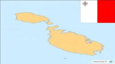 Malte est un pays insulaire d'Europe mesurant 316 km.
Dans quelle mer ce trouve ce pays ?