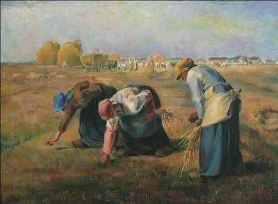 Juillet, c'est le mois de la ..., vite on dpouille les sillons !