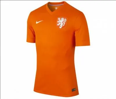 Quel est le joueur numro 10 des Pays-Bas (2014) ?