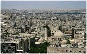 Pour lequel de ces commerces Alep est-elle si célèbre ?