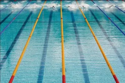 Qui a remport la mdaille d'or du 50m nage libre le 2 aot 2012 aux JO de Londres ?