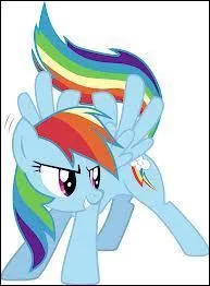 Quel �ge, environ, Rainbow Dash a-t-elle ?