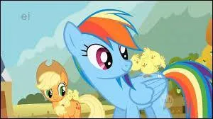Contre qui Rainbow Dash remporte-t-elle le concours du  Poney d'acier  ? Quel est le score ?
