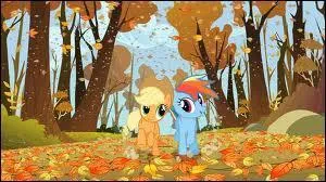 Lors de quelle course Apple Jack et Rainbow Dash se font-elles battre par Twilight ?