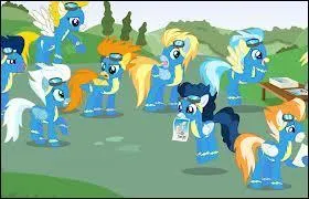 Quel est son groupe de voltige pr�f�r� ?