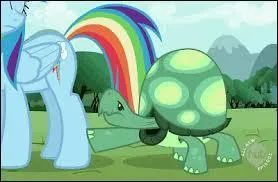 Quel est le nom de son animal de compagnie ?