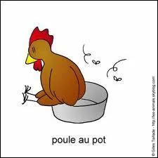 Si vous menez les poules  pisser ..Que faites-vous ?