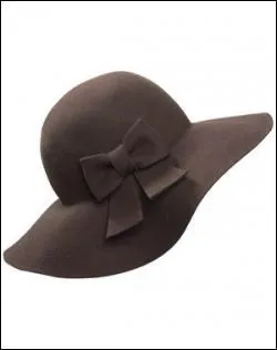 De quel type de chapeau s'agit-il?