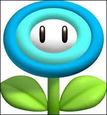  quoi sert cet objet ?