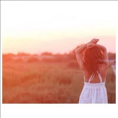 Quel clip correspond  cette image ?