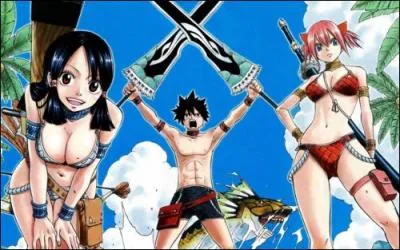 De quel manga s'agit-il ?