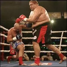 En boxe anglaise professionnelle, quelle catégorie correspond aux sportifs les plus légers ?