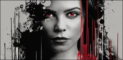 Qui est l'auteur de ce livre ?