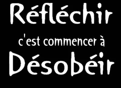 A qui les chiens obéissent-ils directement ?