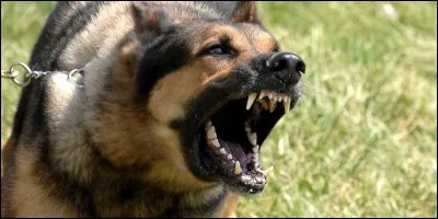 Qui est faite prisonnière lors de l'attaque des chiens de l'enfer dans le monde du milieu ?