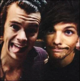 Quel est le nom donn  la romance Louis/Harry ?
