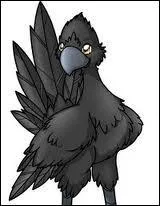 De quelle couleur est ce Chobobo ?