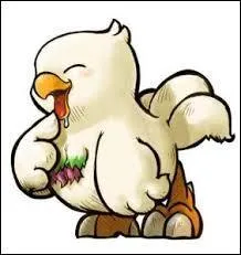 Quelle est la couleur de ce Chocobo gourmand ?