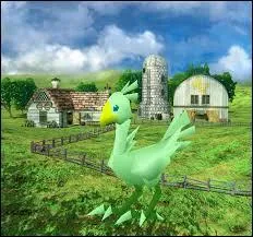 Et pour finir, quelle est la couleur du bec de ce Chocobo ?