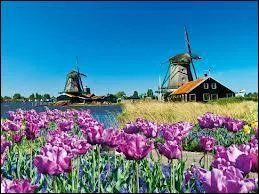 La Hollande et les Pays-Bas, c'est la mme chose.