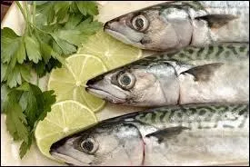 Manger du poisson rend intelligent.