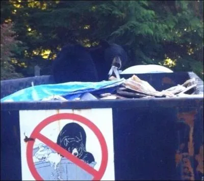 D'aprs toi, quel animal voit-on sur cette photo ?