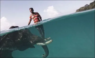 D'aprs la photo, sur quel continent penses-tu tre ?