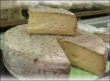 Auvergne, lait, doux, pte presse non cuite, chvre ou vache.