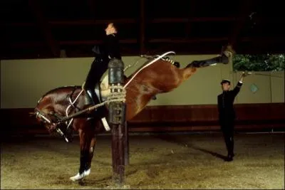 Mange, pied, coup, figure.