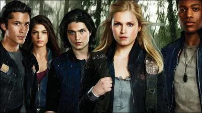 Cette srie sera diffuse chaque mercredi soir. Elle a t renouvele pour une 2e saison. Quel est son nom ?