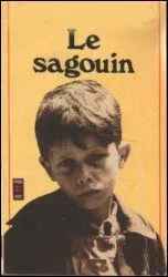 Qui est l'auteur du livre  Le sagouin  ?