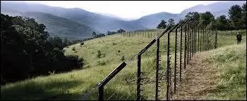 Katniss passe ...... pour aller dans la fort