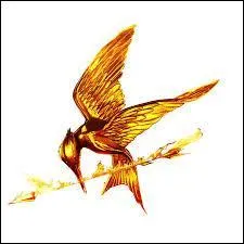 Hunger Games veut dire en franais?