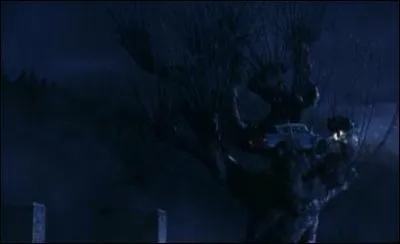 AE AE AE ! Ron et Harry ont beaucoup de problmes avec cet arbre qui les agresse ! Comment s'appelle-t-il et quelle est la marque et la srie de la voiture ?