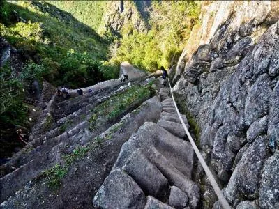 Docte assemble charge de contrler les diles qui nous gouvernent !