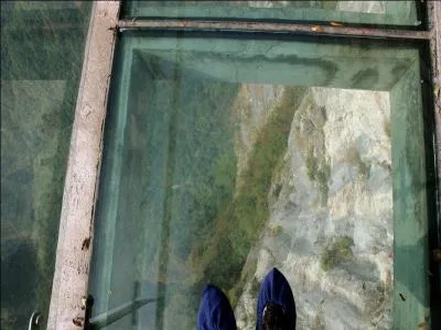 Facilement impressionnable, un rien l'effarouche, elle est galement une plante qu'un attouchement rend... pudica !