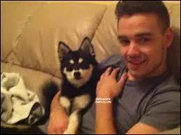 Comment se nomme le chien de Liam ?