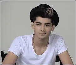 Qui est la copine de Zayn ? (en juillet 2014)