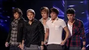 Grce  quelle mission les 1D sont-ils devenus clbres ?