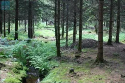 Dans quel dpartement est situe la fort de Perseigne qui se distingue de la fort de Bellme sa voisine par son relief accident et son altitude?