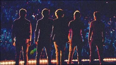 Quel est le nom de la fan base des One Direction ?