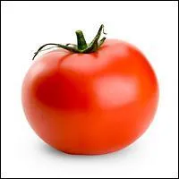 Par qui a été découverte la tomate ?