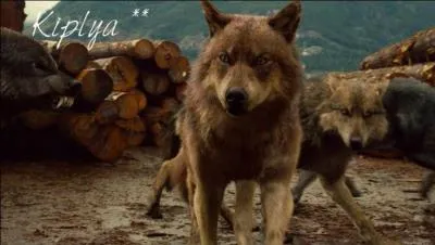 A quelle série appartient cette scène ?